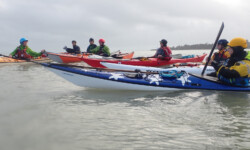 @ Michel Creach Cadic