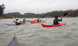 @ Michel Creach Cadic