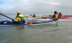 @ Michel Creach Cadic