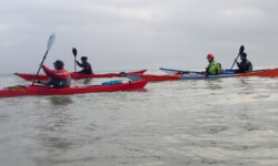 @ Michel Creach Cadic