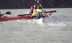 @ Michel Creach Cadic