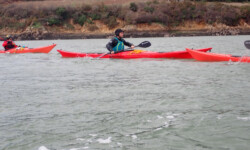 @ Michel Creach Cadic