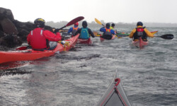 @ Michel Creach Cadic